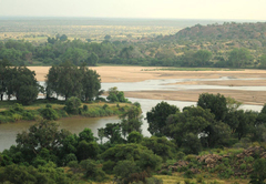 Mopane Bush Lodge