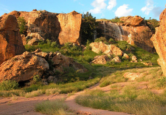 Mopane Bush Lodge