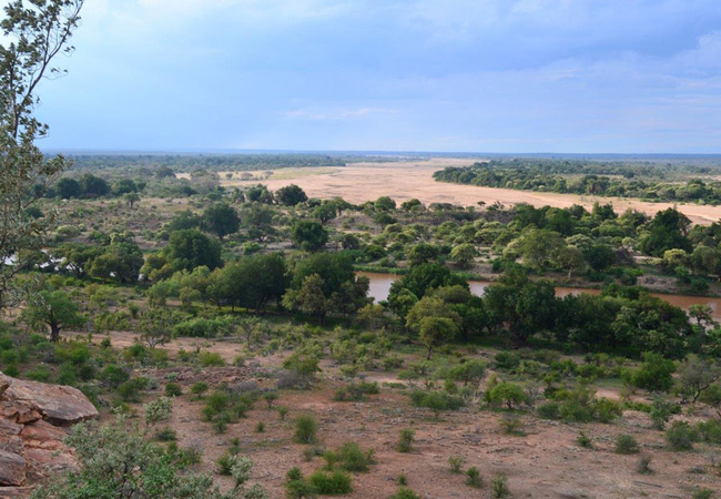 Mopane Bush Lodge