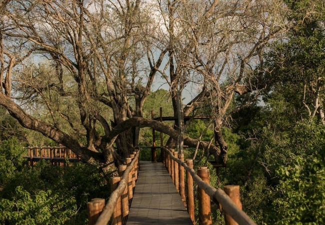 Mopane Bush Lodge