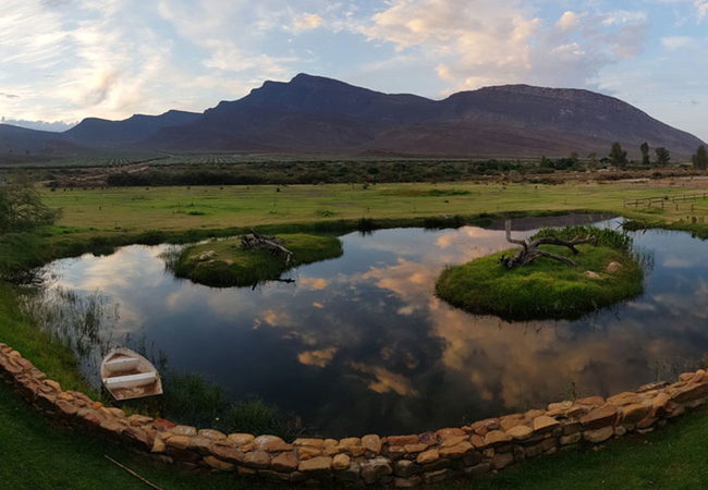 Restaurant View