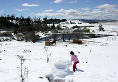 Mount Park Guest Farm