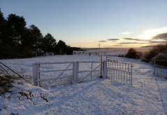 Mount Park Guest Farm