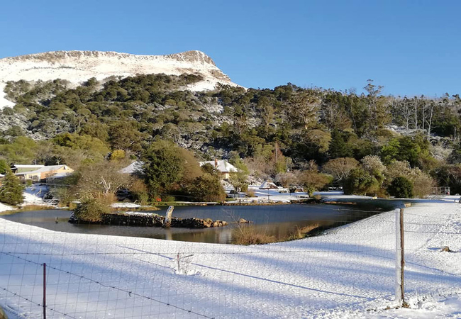 Mount Park Guest Farm