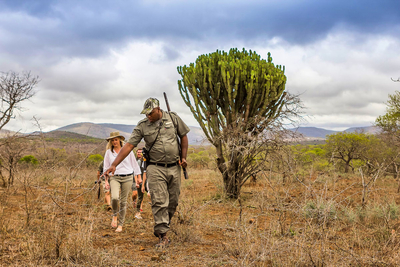 Mpeti Lodge