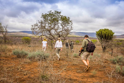 Mpeti Lodge