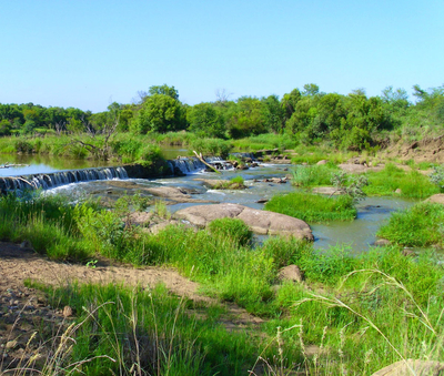 Mziki Safari Lodge