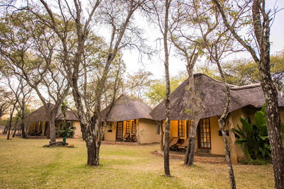 Mziki Safari Lodge