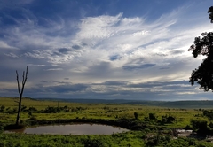 Nambiti Plains Private Game Lodge