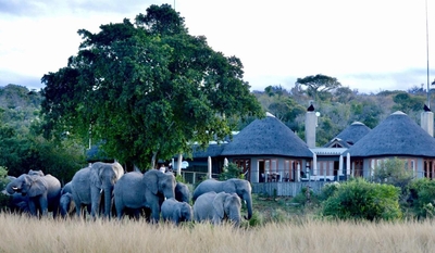 Nambiti Plains Private Game Lodge