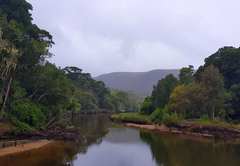 Natures Valley Rest Camp