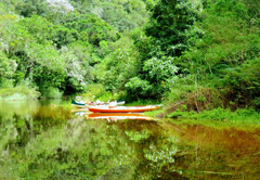 Natures Valley Rest Camp