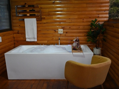 Deluxe King Cabin with Jacuzzi