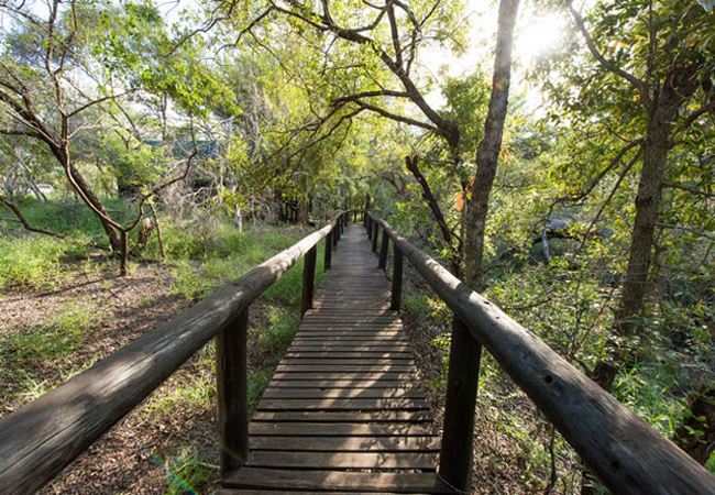 Ndzhaka Tented Camp