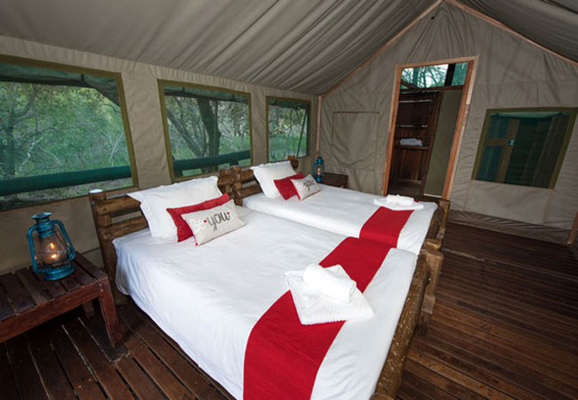 Safari Tent Twin