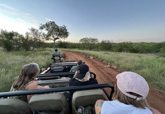 nDzuti Bush Camp