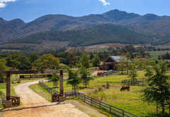 Neighbourgood Farm Sanctuary