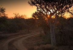 Nkala Safari Lodge