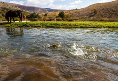 Nooitgedacht Trout Lodge