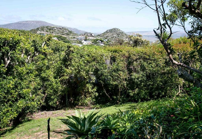 Noordhoek\'s Hidden Gem