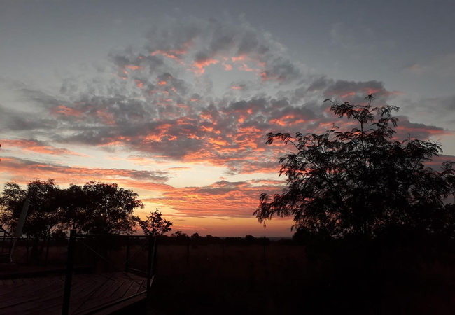 Nyani Lodge