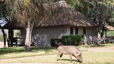 Nyati Safari Lodge