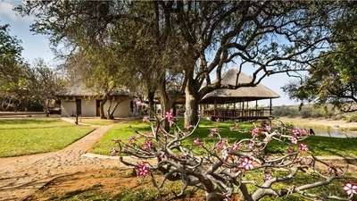 Nyati Safari Lodge