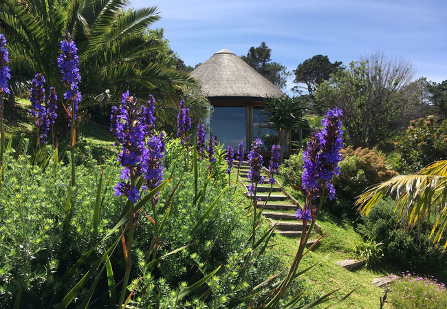 Gazebo under thatch