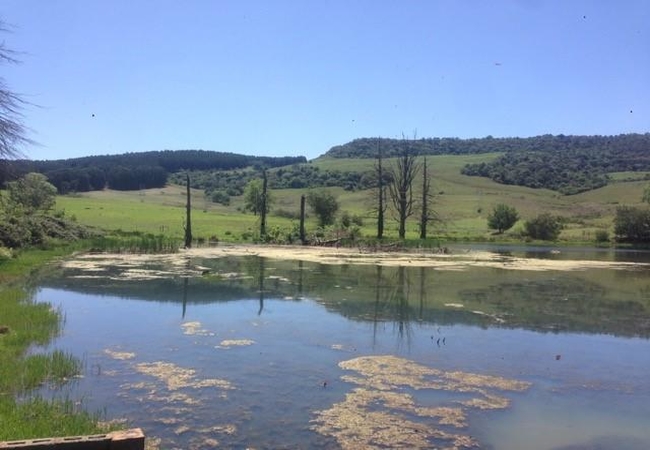 1st Fishing Dam