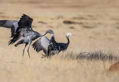 Otterskloof Private Game Reserve  