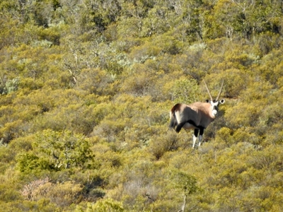 Ouberg Private Nature Reserve