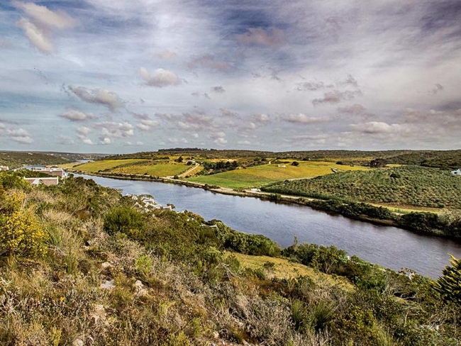 Oudewerfskloof Olive Farm