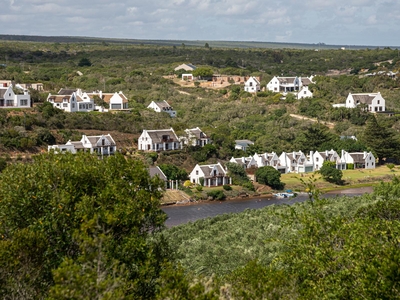 Oudewerfskloof Olive Farm