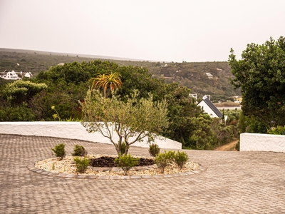 Oudewerfskloof Olive Farm