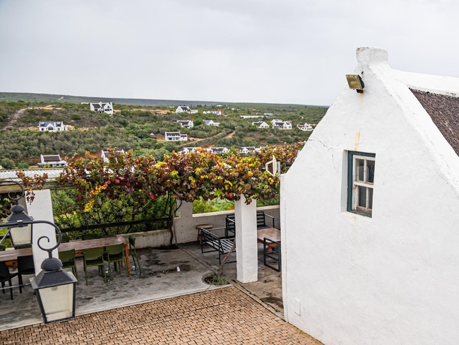 Oudewerfskloof Olive Farm