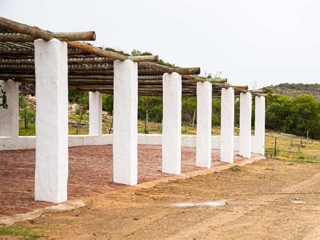 Oudewerfskloof Olive Farm