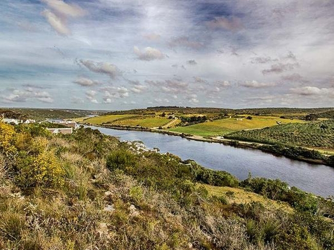 Oudewerfskloof Olive Farm