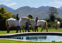 Outeniqua Moon Guest Farm