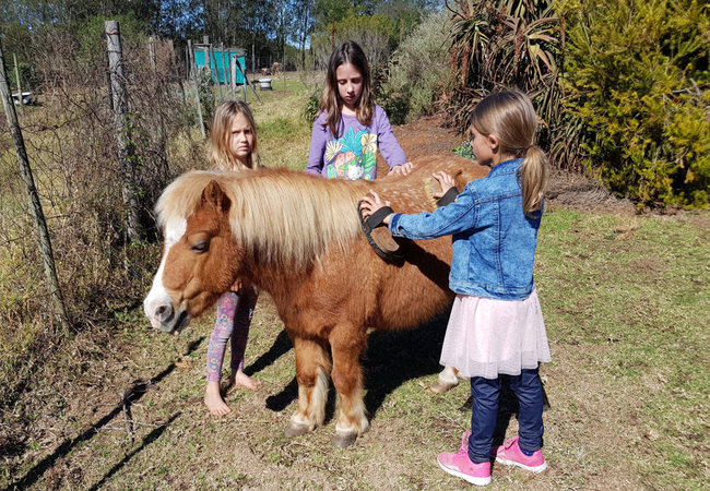 Outeniqua Moon Guest Farm