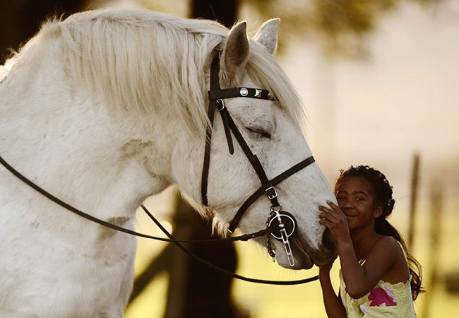 Outeniqua Moon Guest Farm