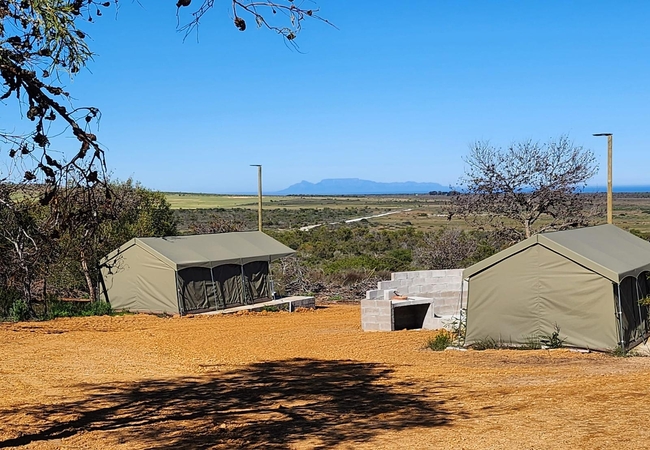 Table Mountain view