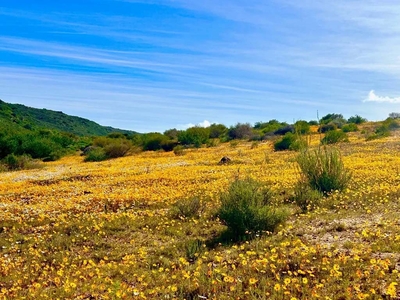 Pendoornkraal Guest Farm