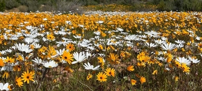 Pendoornkraal Guest Farm