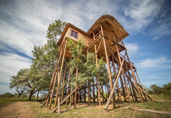 Mountain View Luxury Tree House 