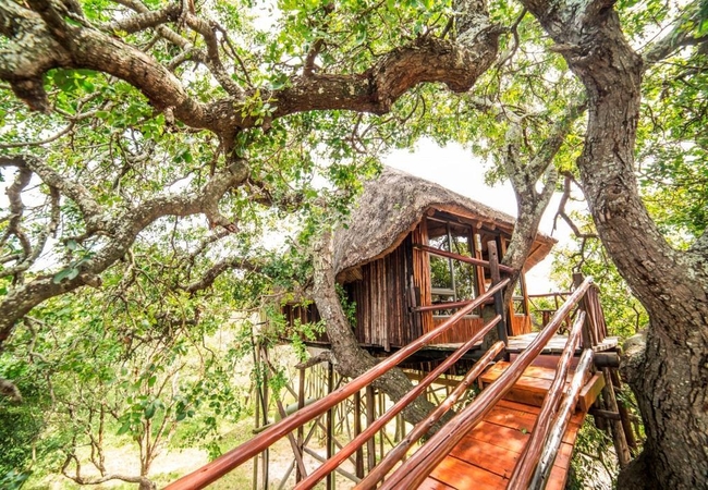 Mountain View Luxury Tree House 