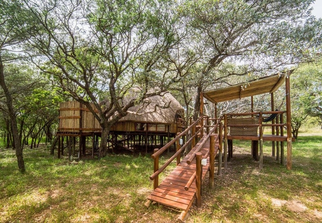 Pezulu Tree House Lodge