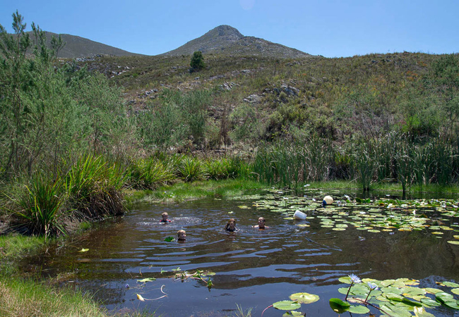 Phillipskop Mountain Reserve