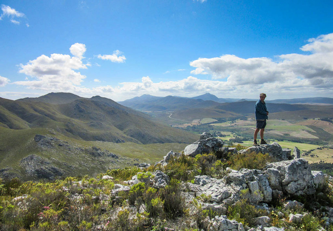 Phillipskop Mountain Reserve