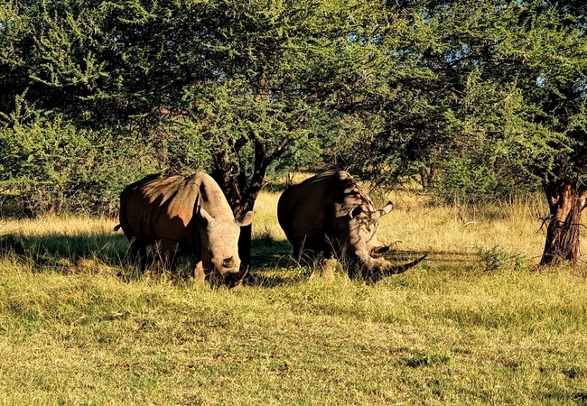 Phumelelo Lodge