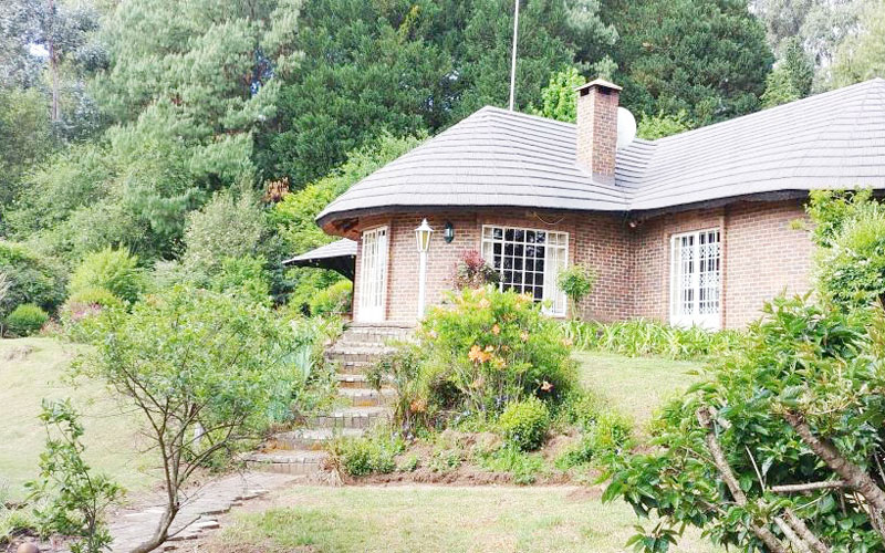 Pin Oak Cottage In Underberg Kwazulu Natal